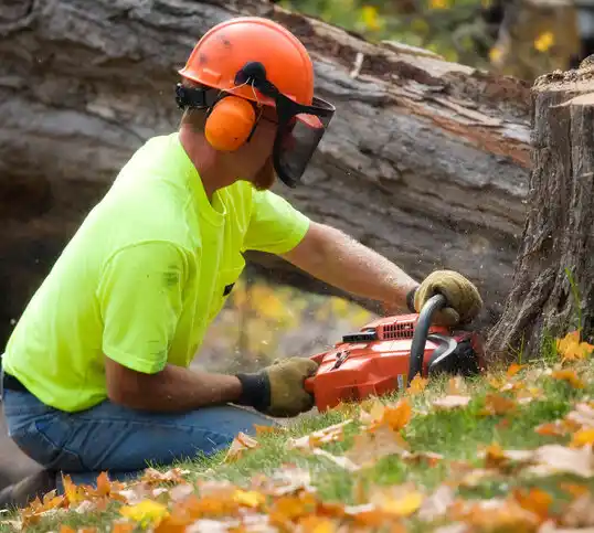 tree services Bladensburg